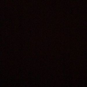 Meet your Posher, Leilani